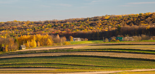 An autumn agricultural landscape. Roztocze. Lublin Voivodeship. Poland. The image depicts a picturesque autumn agricultural landscape. 