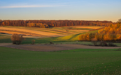 An autumn agricultural landscape. Roztocze. Lublin Voivodeship. Poland. The image depicts a picturesque autumn agricultural landscape. 