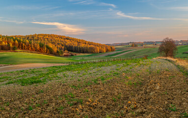 An autumn agricultural landscape. Roztocze. Lublin Voivodeship. Poland. The image depicts a picturesque autumn agricultural landscape. 
