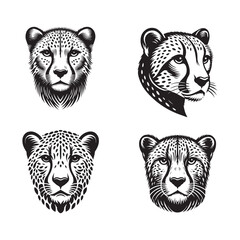 Cheetah Face Silhouette Vector Set – Wild Animal Illustrations