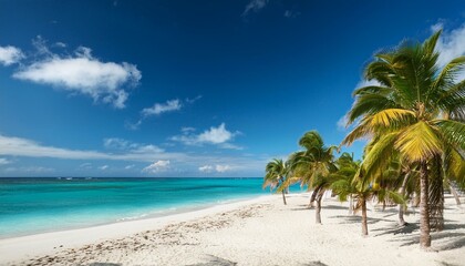 Palm Trees On The Beach - Palm Beach In Tropical Paradise - Guadalupe Island - Caribbean - Hawaii - Bali - Landscape Beach