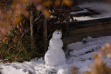 a small snowman in the garden