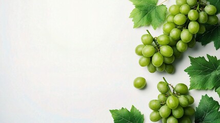 Fresh Green Grapes on White Background with Leaves Isolated