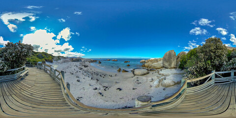 Cape Town Penguins at Boulders Beach on a sunny summer day 360 PANORAMA © Top Virtual Tours