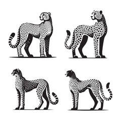 Standing Cheetah Silhouette Vector Set – Majestic Wildlife Illustrations