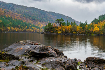 Autumn in Glen Affric, Scotland, UK © Angus Chisholm