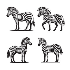 Fototapeta premium Standing Zebra Silhouette Vector Set – Elegant Wildlife Illustrations