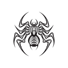 spider on white background