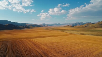 Obraz premium Drones monitoring large fields in remote farming
