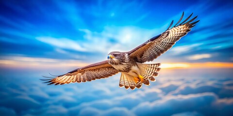 Fototapeta premium Majestic Hawk in Flight Over Serene Landscape Captured in Minimalist Style, Emphasizing the Grace and Power of Nature in a Clean and Simple Composition