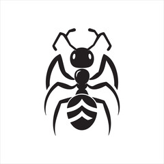 crab spider illustration