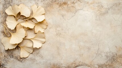 Fototapeta premium Delicate Ginkgo Leaves on Beige Background