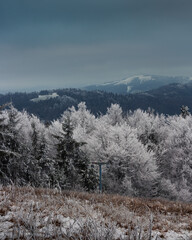A snowy treeline and dark cloudy overcast skies