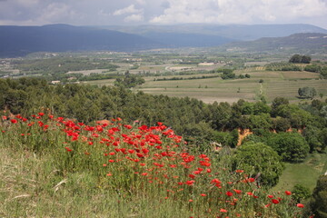 Countryside view from Roussilon - Luberon - Vaucluse - Provence-Alpes-Côte d'Azur - France