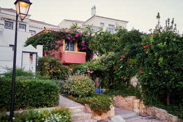 Obraz premium A charming typical greece Mediterranean house with vibrant bougainvillea and lush greenery.
