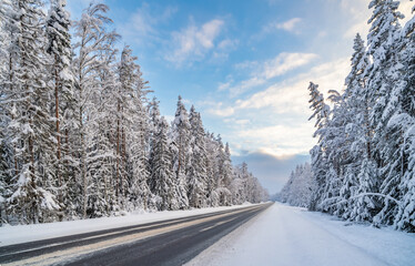 Fototapeta premium Panoramic view of snow-covered forest highway.