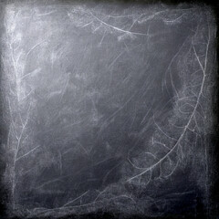 Chalkboard surface showcasing intricate leaf patterns in natural light