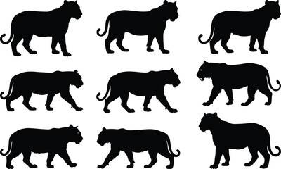 Set of lion silhouette