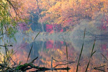 Pond in Fall