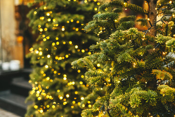 Christmas tree decoration and garland with golden bokeh lightening background.