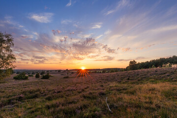 Farbenprächtiger Sonnenuntergang in der Lüneburger Heide bei Undeloh