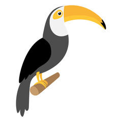 Toucan bird sitting on branch. Vector illustration isolated on white. © Віталій Баріда