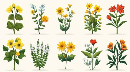 A collection of illustrated flowers arranged in a grid, showcasing various plant species.