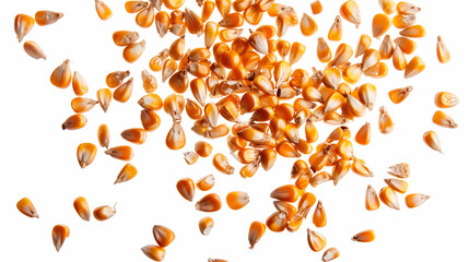 "Flying Corn Seeds Cut Out on Transparent PNG - Perfect for Creative Use"
"High-Quality Transparent PNG of Flying Corn Seeds"