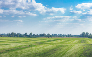 Expansive Green Fields Under a Blue Sky