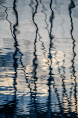 reflections in water