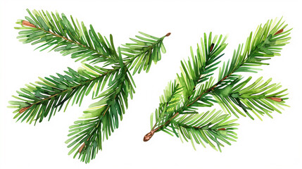 "Transparent PNG of Isolated Pine Leaves – Perfect for Nature and Design Projects"
"Clear PNG Image of Isolated Pine Tree Leaves – Ideal for Creative and Seasonal Designs"