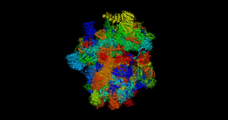 Mammalian mitochondrial 55S ribosome, complete asembly, 3D molecule 4k