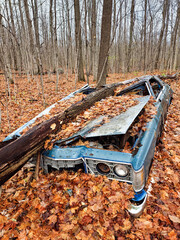 An old blue car in the woods, crushed under a fallen tree and covered in fallen autumn leaves