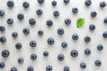 Fresh raw organic blueberries with green leaf on white background. Food concept.