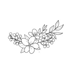 Vector daisy flowers bouquet, illustration daisy vase on white background, Botanical lines art flower, Minimalist contour drawing of flower. 