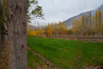 Obraz premium Most Beautiful landscapes views in Autumn ain Skardu, Pakistan. 