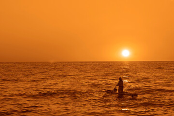 Fototapeta premium silhouettes of one woman on surfboards on the water at sunrise, horizon line. SUP surfing at sunset