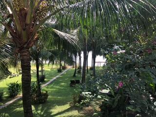 Vietnamese Resort