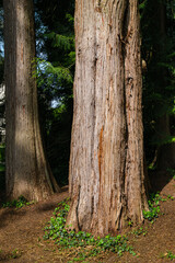 Stadtgarten Überlingen, Baden-Württemberg, Deutschland