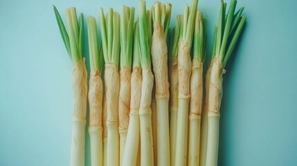 Fototapeta premium Fresh Green Onions on a Light Blue Background