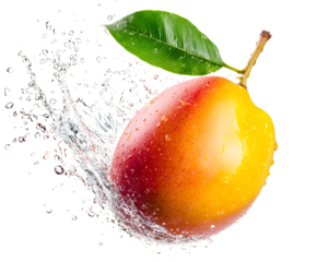 Fresh mango splashing water, vibrant colors, isolated on white background.
