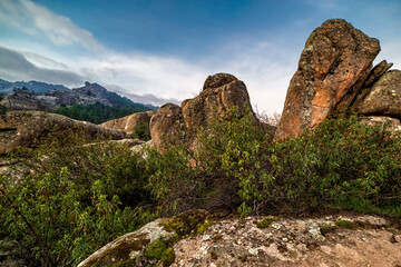 Granite rocks and cistus at Tranco in Pedriza Regional Park