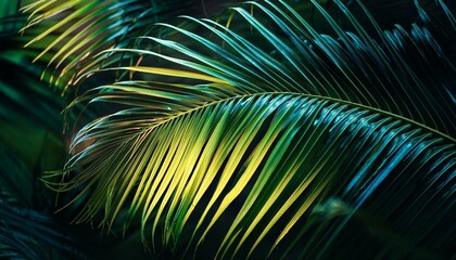 palm leaf background