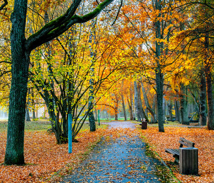Pedestrian walkway and golden autumn nature background in old public park