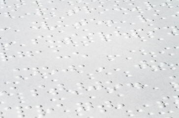 World Braille Day. International Day of the Blind. Macro shot of tactile braille type on white page...
