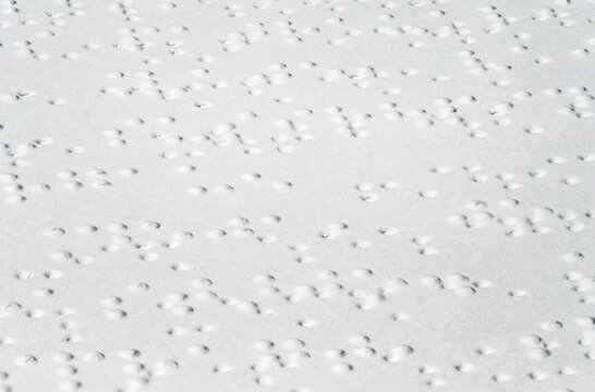 World Braille Day. International Day of the Blind. Macro shot of tactile braille type on white page of book, accessible information concept, copy space