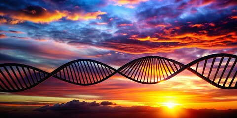 Obraz premium Stunning Silhouette Photography of a DNA Strand Against a Beautiful Sunset Sky, Capturing the Essence of Life's Building Blocks with Artistic Flair and Intriguing Depth