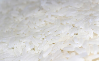 white rice background. white rice close up. close up of rice. food with selective focus. of rice details.