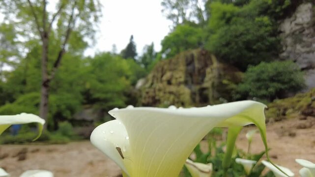 balade en nature