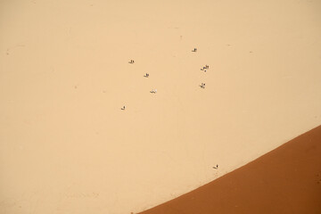 Tourists in the distance hiking on the Deadvlei clay appear as miniature figures. Seen from the top of Big Daddy, one of the highest sand dunes in Namibia
